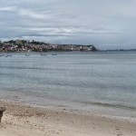 La playa.